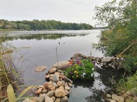 Vesivoimaa Töölönlahdella - Hugo